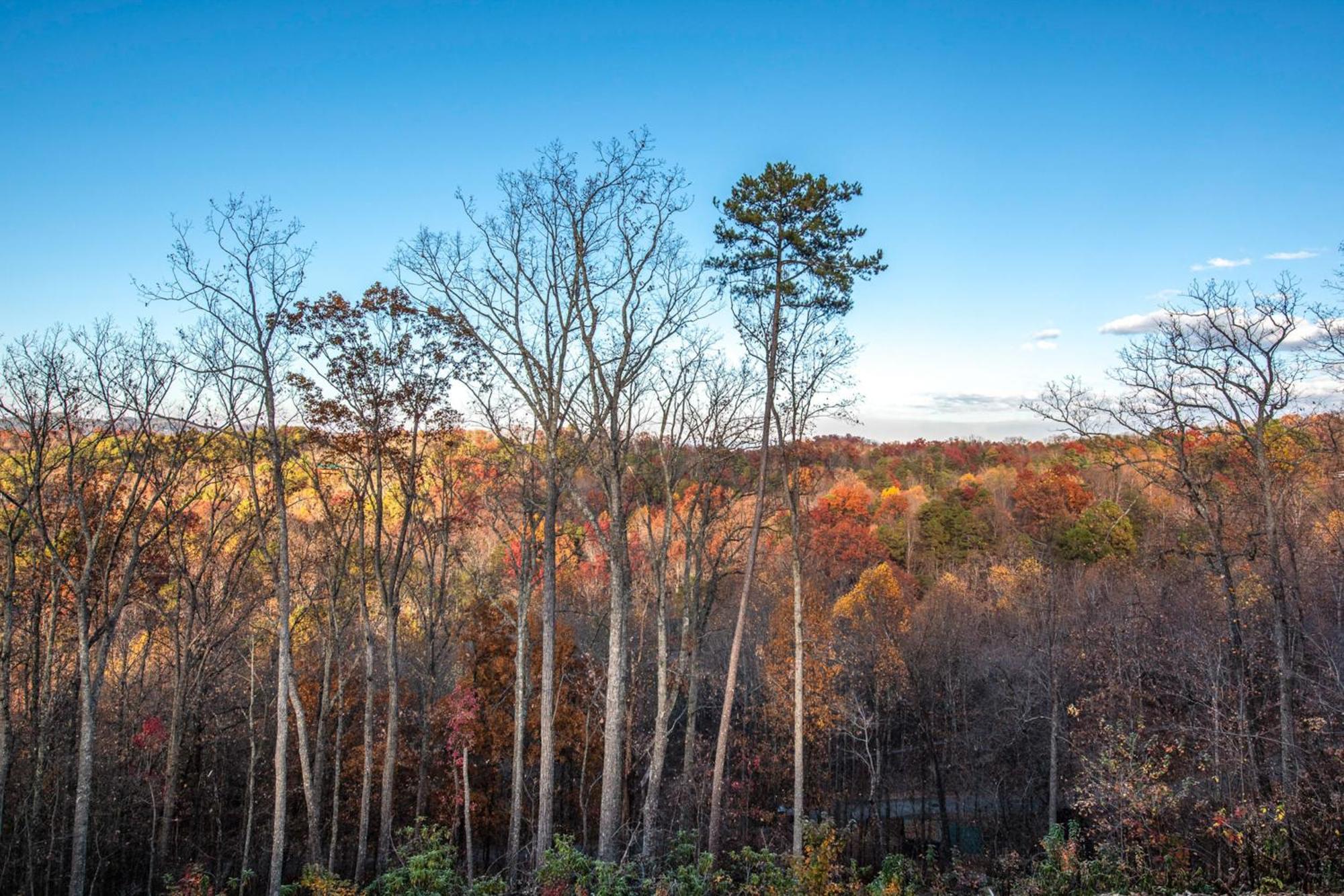 The Treetop Sanctuary Villa Sevierville Exterior foto